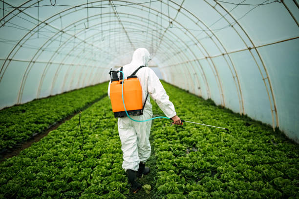 Best Residential Pest Control  in Deer Park, WA