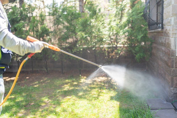Best Flea Control Services  in Deer Park, WA