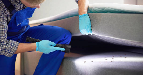 Best Rat Extermination Near Me  in Deer Park, WA