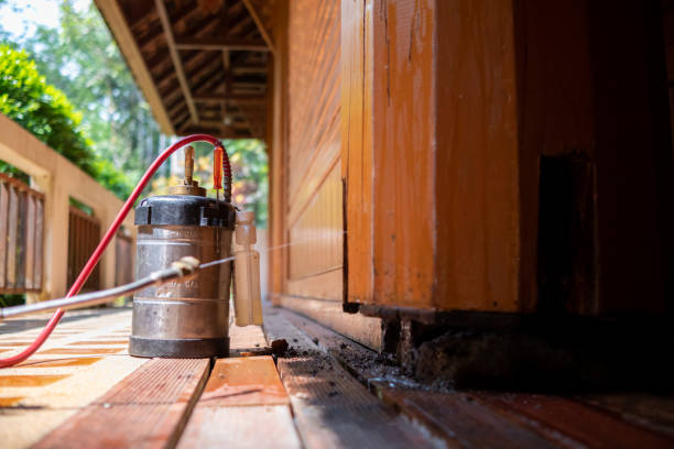 Best Mosquito Control Services  in Deer Park, WA