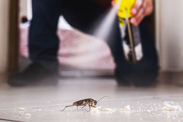 Best Emergency Pest Control  in Deer Park, WA