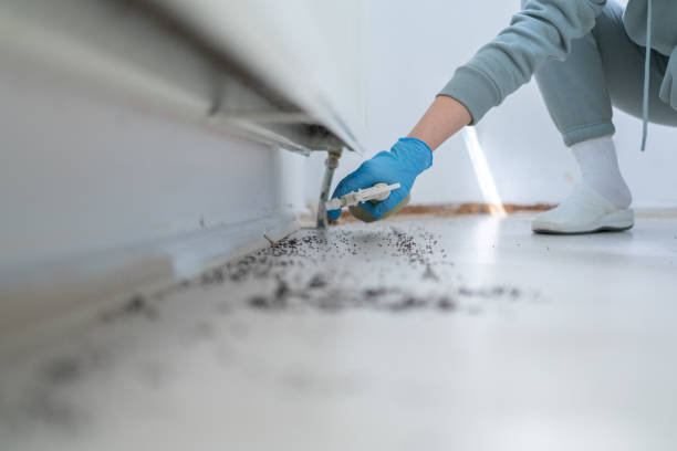 Best Pest Removal Services  in Deer Park, WA