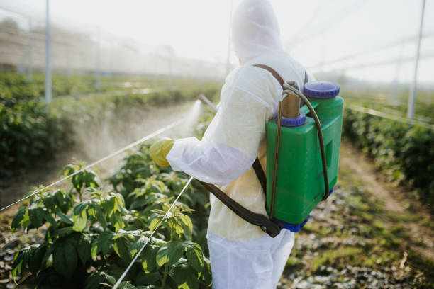 Best Best Pest Control Companies  in Deer Park, WA